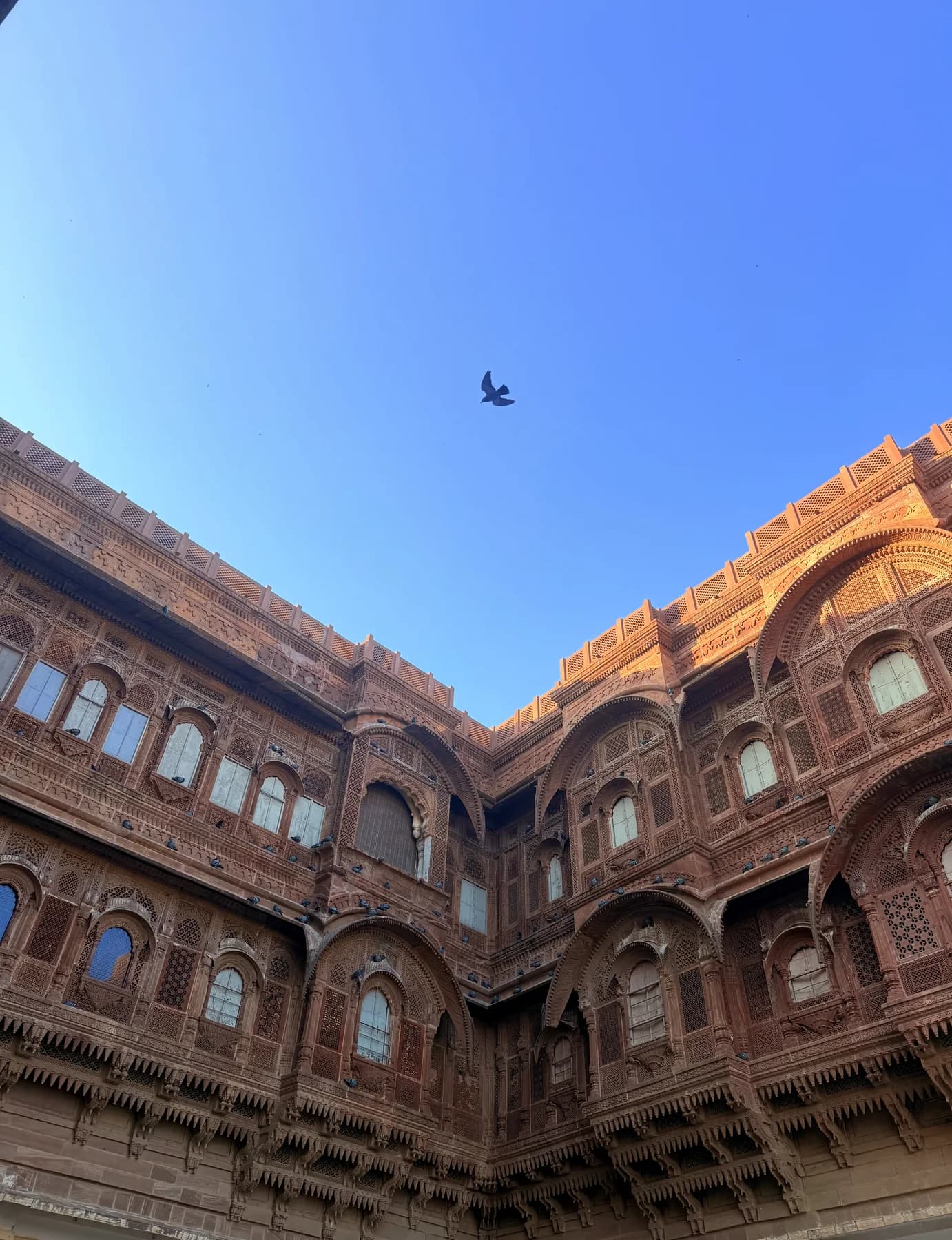 A bird above a sandstone courtyard with carved balconies